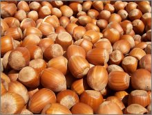 Hazelnuts (Filberts)